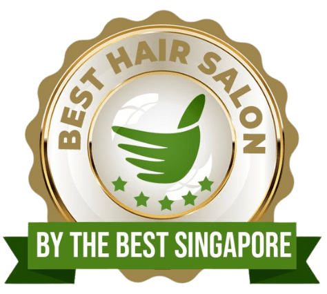 Best Hair Salon Picasso Hair Studio Logo
