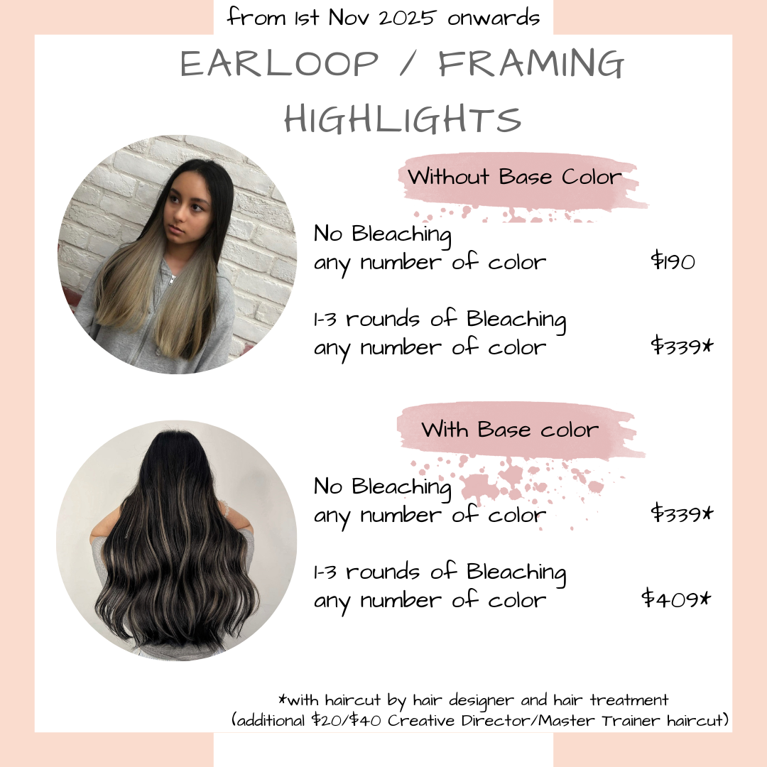 Picasso Hair Studio Earloop Framing Highlights